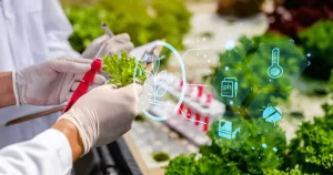 Blockchain Alimentos